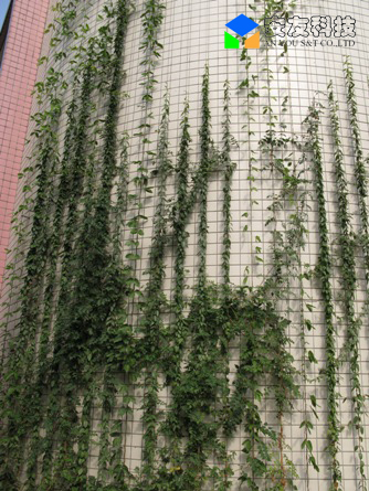 ��h��һ�ЌW(xu��)����G������Ч���D