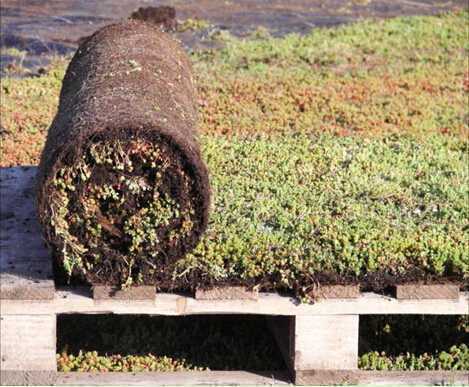 ��̺ʽ��픾G��