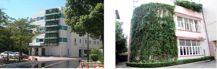 安友墻面綠化案例 安友墻面綠化案例