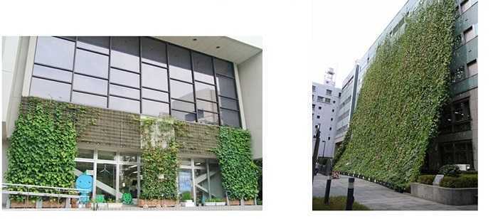 安友墻面綠化案例 安友墻面綠化案例