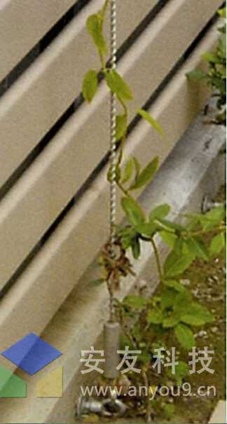 拉式效果圖 拉式效果圖