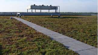 草毯式綠化3 草毯式綠化3