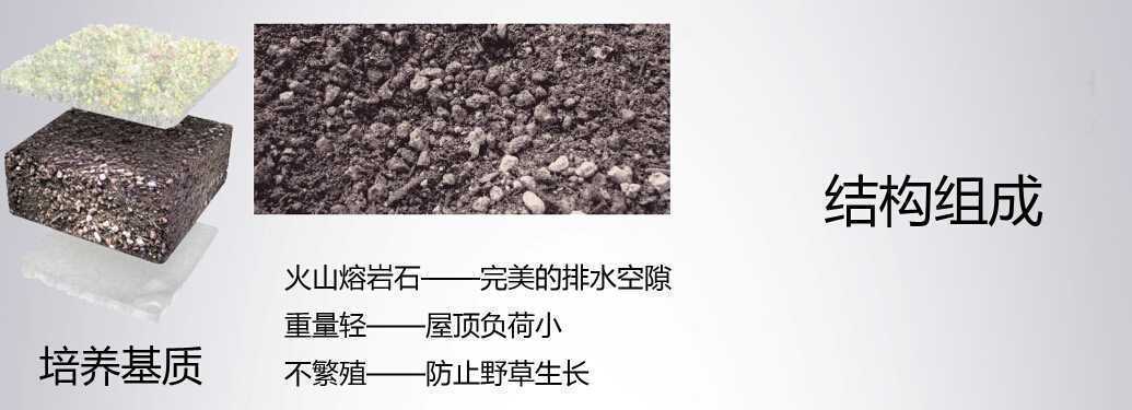 草毯式結構1 草毯式結構1