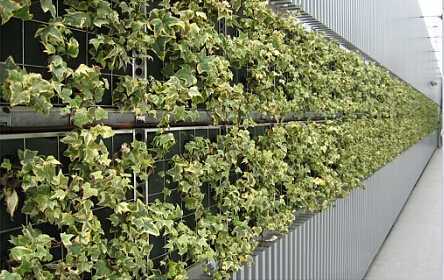 拼塊式墻面綠化2 拼塊式墻面綠化2