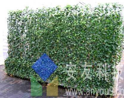 �A(y��)�ȳ���ʽ�G����Ԫ