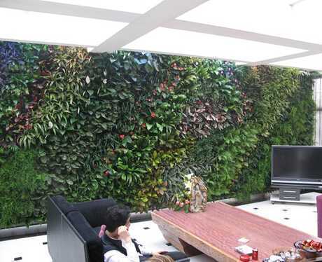 武漢高爾夫會所室內植物生態墻 武漢高爾夫會所室內植物生態墻