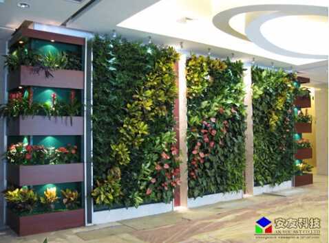 垂直綠化生態(tài)植物墻_工程實(shí)例 垂直綠化生態(tài)植物墻_工程實(shí)例