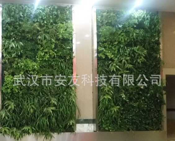 武漢垂直綠化生態(tài)墻 武漢垂直綠化生態(tài)墻