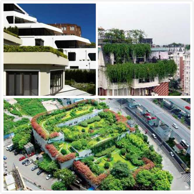 沿口綠化 沿口綠化