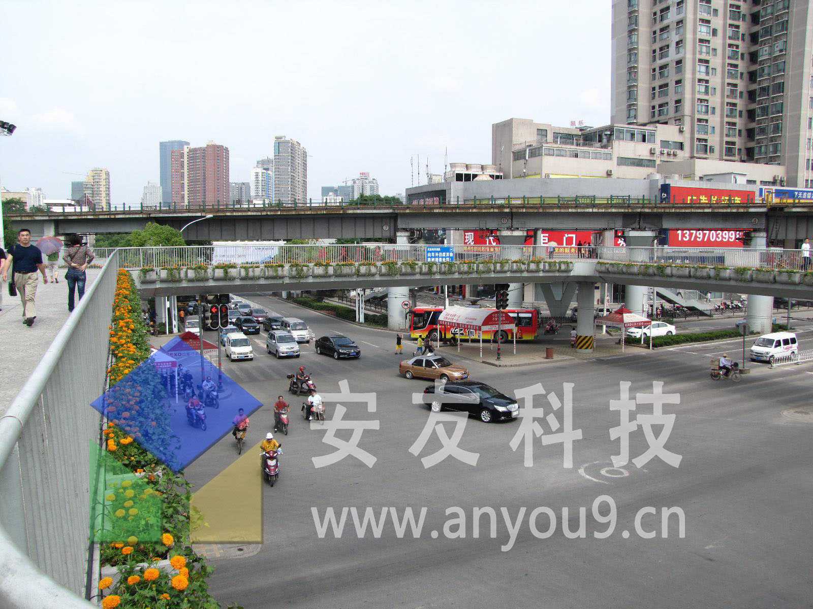 高架橋綠化應用 高架橋綠化應用