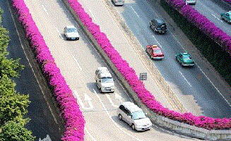 ��ʲôҪ���߼ܘ�G����