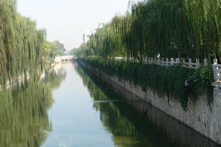 河道綠化 河道綠化