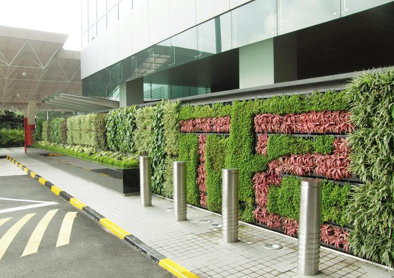 ��h���[������������G��