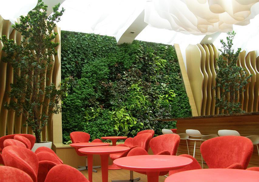 ��h�Ҿ�չ������