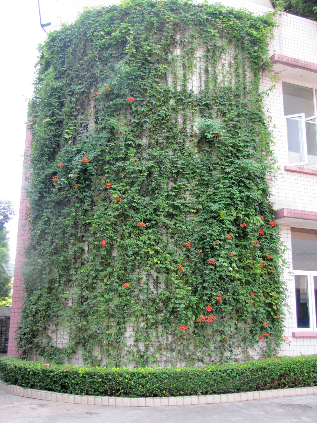 ��һ�ЌW�ֶ����z����G��