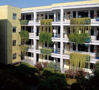 沿口綠化 沿口綠化