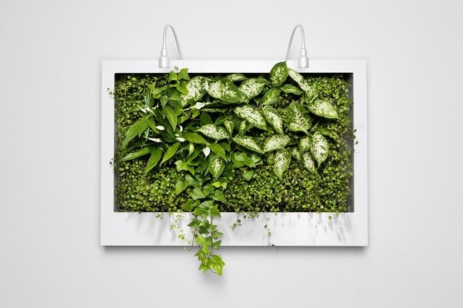 �k����ֲ�ﮋ