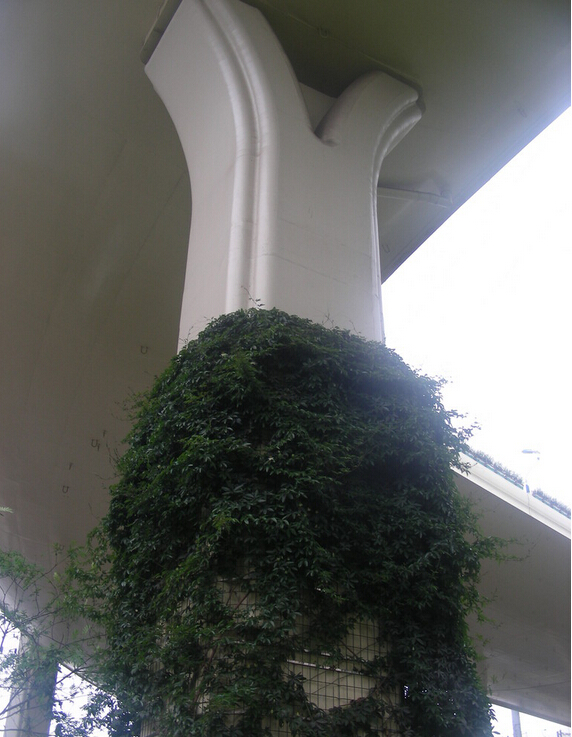 橋柱綠化案例 橋柱綠化案例