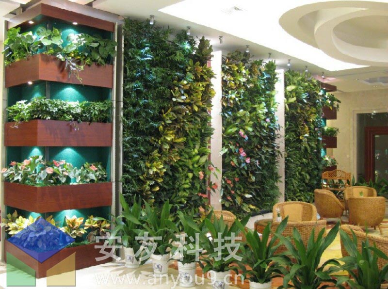植物墻 植物墻