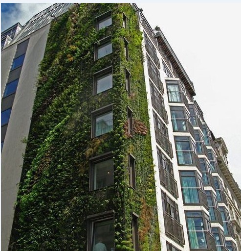 垂直綠化案例 垂直綠化案例