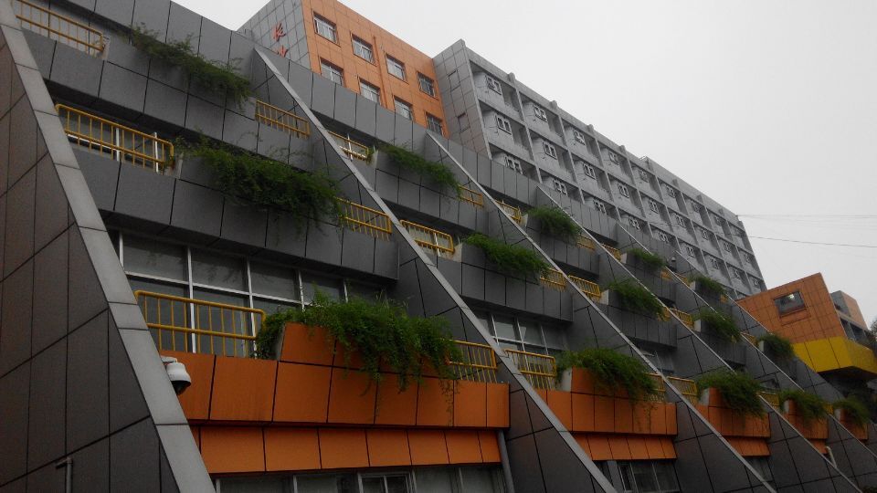 湖南省婦幼保健院陽臺綠化案例 湖南省婦幼保健院陽臺綠化案例