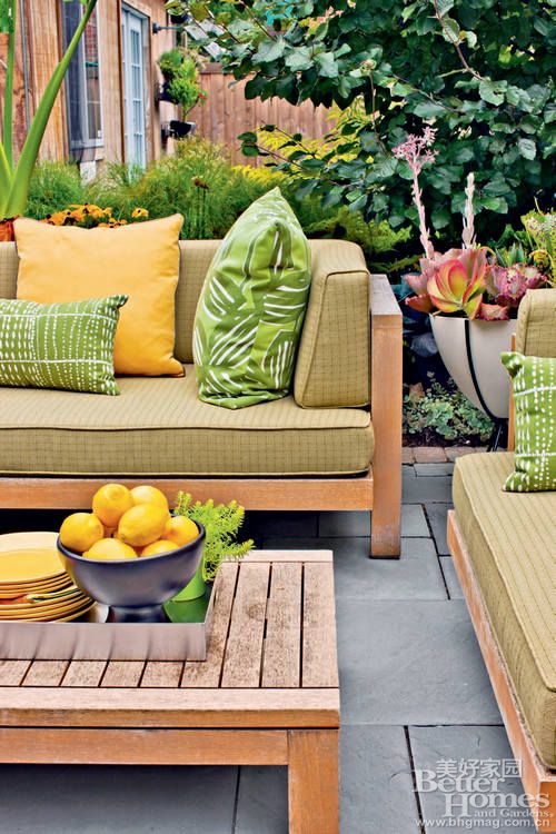 混搭多肉植物盆栽 混搭多肉植物盆栽