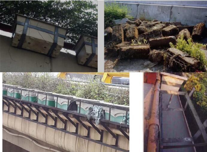 Ч�����õĸ߼ܘ�G��