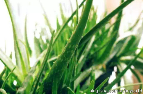 ����ֲ�����]