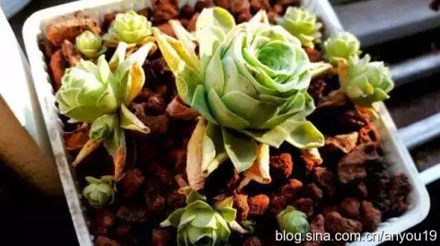 ����ֲ�����]