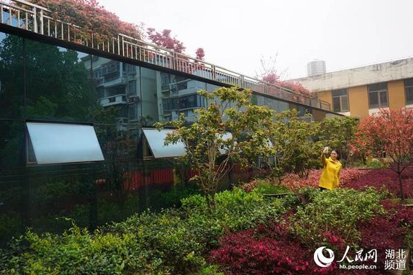 美麗的屋頂綠化案例 美麗的屋頂綠化案例