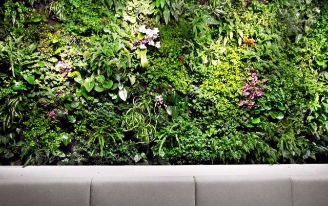 室內綠化案例 室內綠化案例