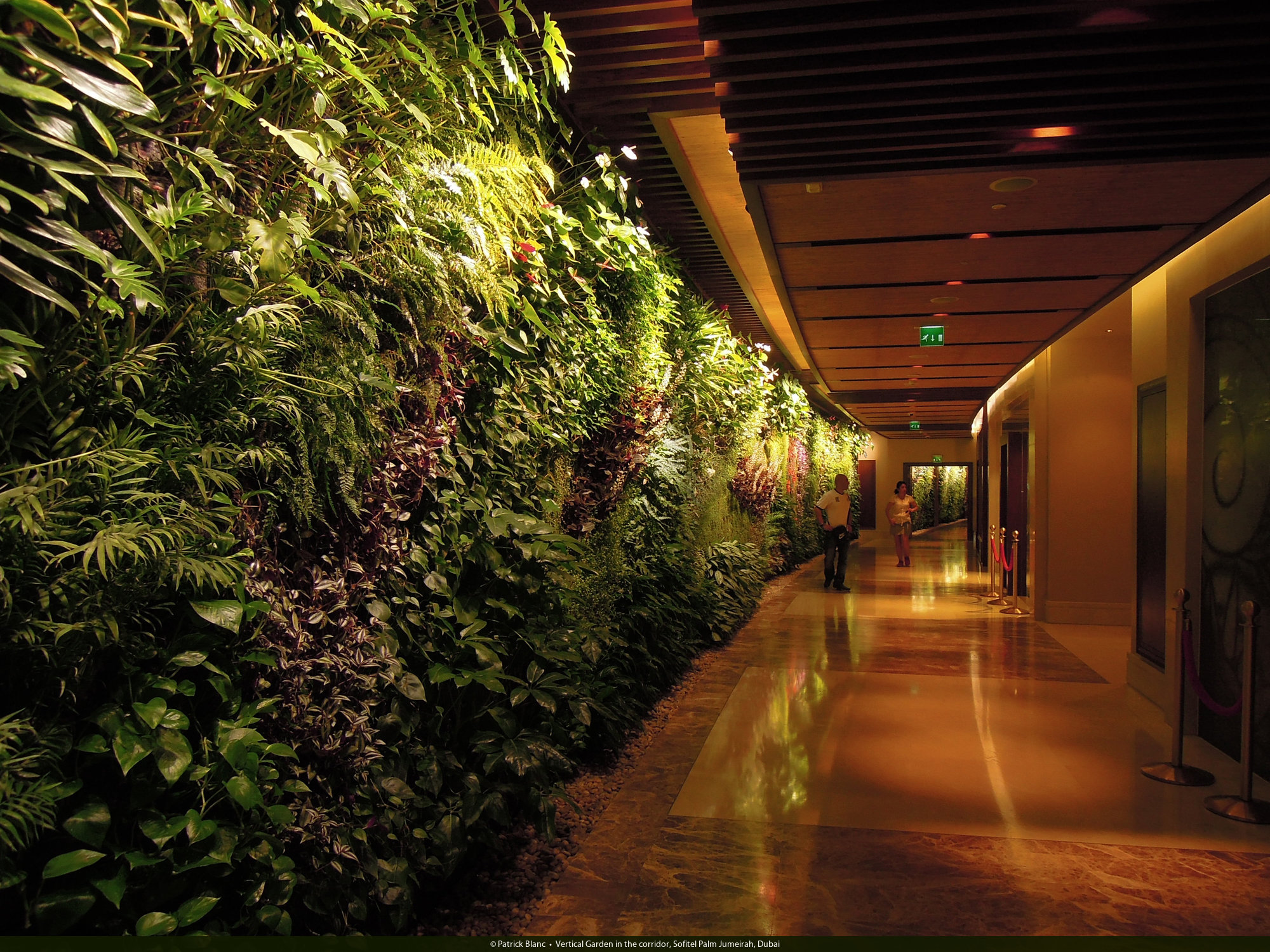 室內植物墻案例 室內植物墻案例