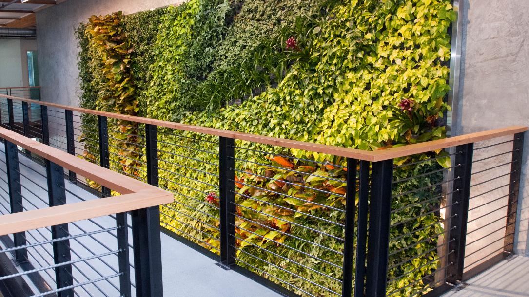 室內植物墻案例 室內植物墻案例