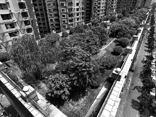 西荷花園樓頂綠化郁郁蔥蔥 西荷花園樓頂綠化郁郁蔥蔥