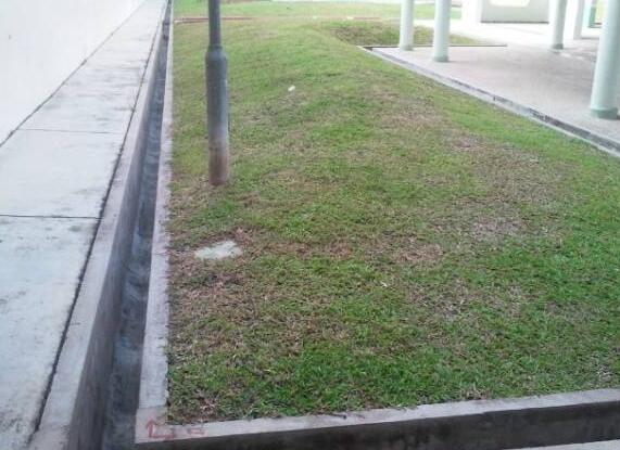 新加坡:排水渠 新加坡:排水渠