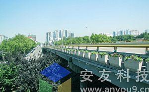 �߼ܘ�ɂȾG��