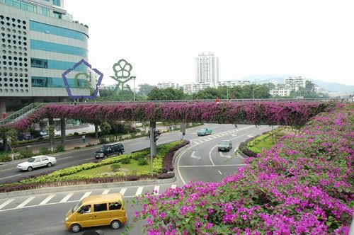 人行天橋綠化設計規范 人行天橋綠化設計規范