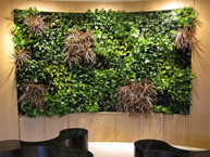 ����G������